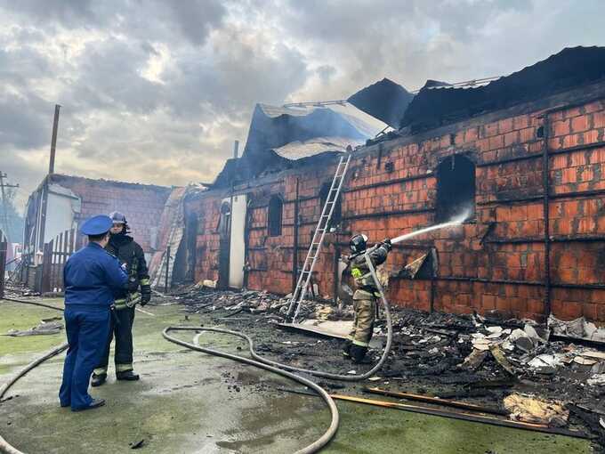 В Ленинградской области загорелась конюшня детской конной академии